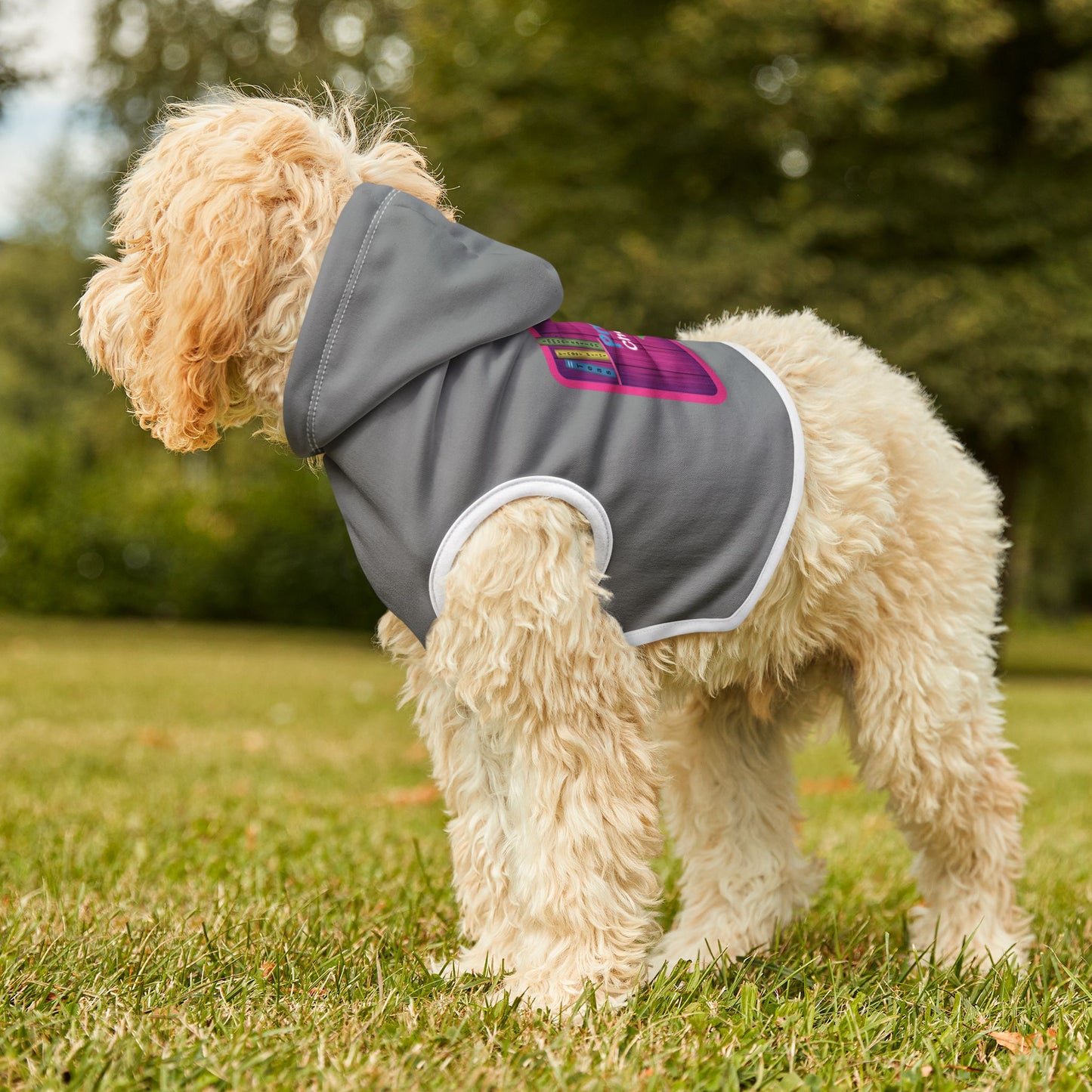 "Cozy Custom Pet Hoodies for Stylish Walks!"