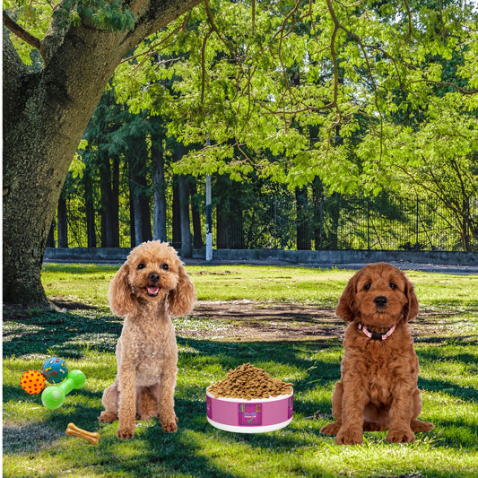 Pet Bowl - Unique Nursing Bowl for Your Furry Friend