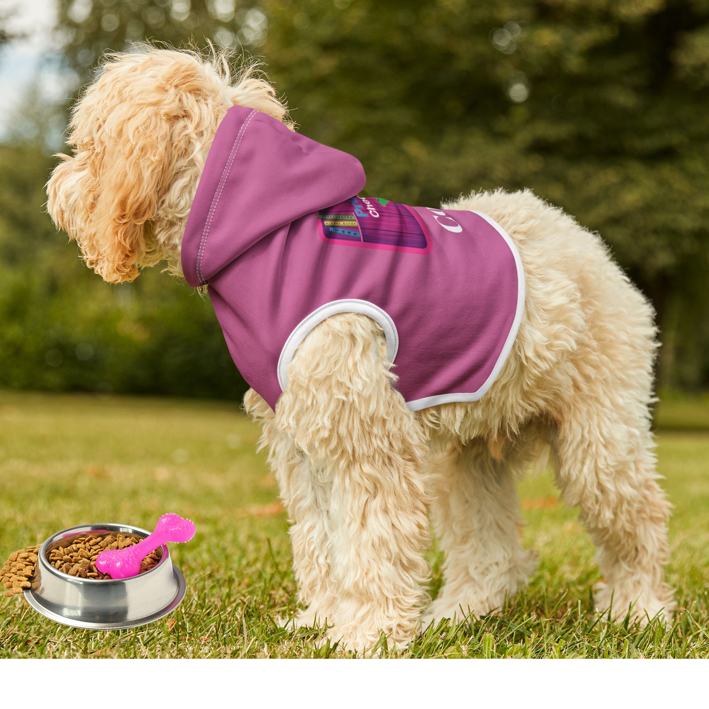 Cozy Custom Pet Hoodie for stylish walks!
