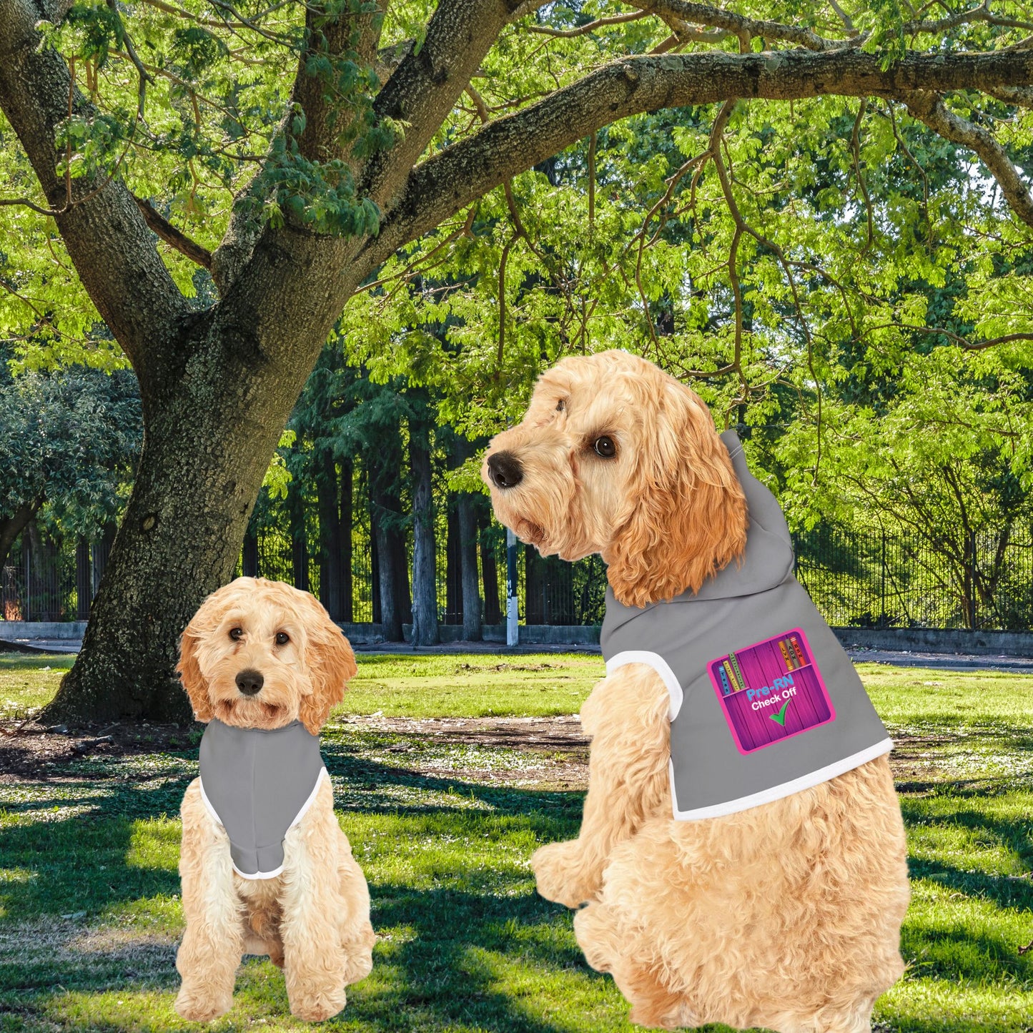 "Cozy Custom Pet Hoodies for Stylish Walks!"