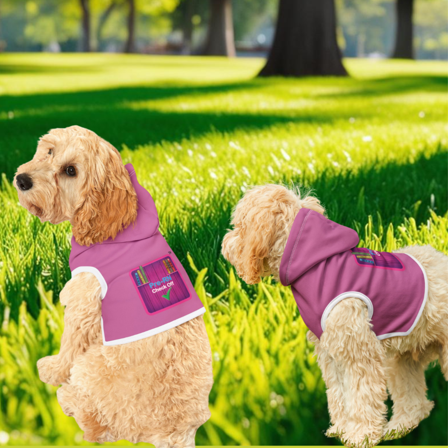 Cozy Custom Pet Hoodie for stylish walks!